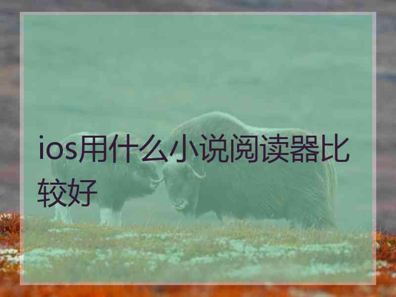 ios用什么小说阅读器比较好