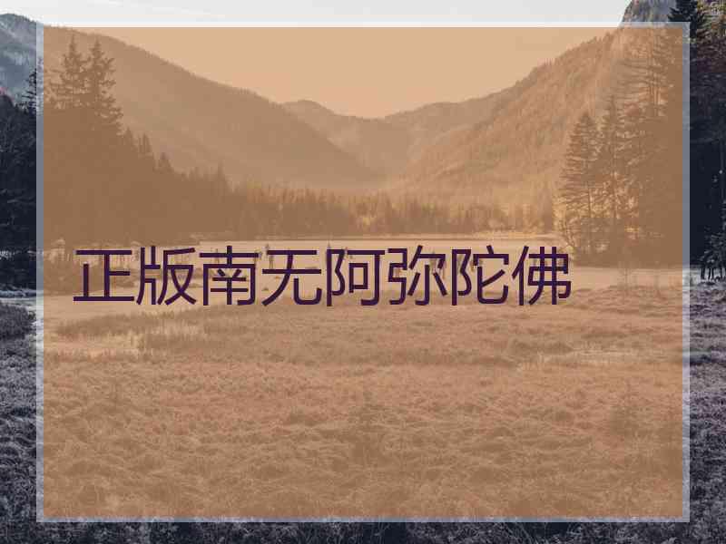 正版南无阿弥陀佛