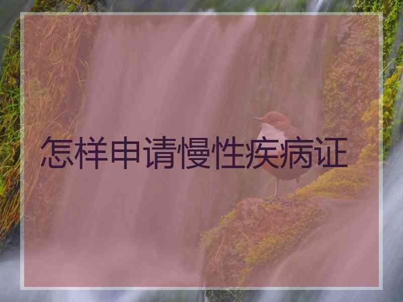 怎样申请慢性疾病证