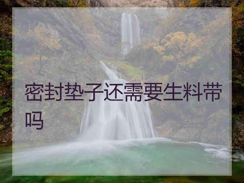 密封垫子还需要生料带吗