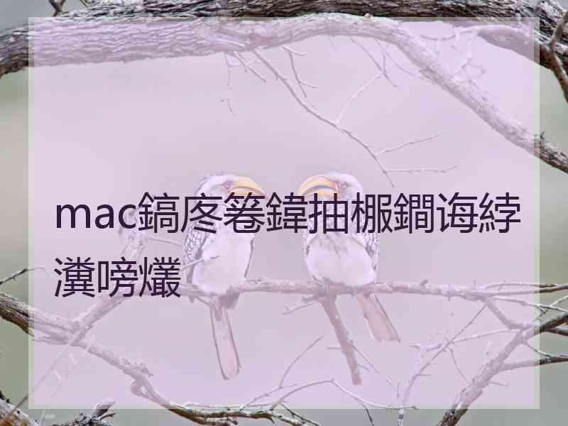 mac鎬庝箞鍏抽棴鐧诲綍瀵嗙爜