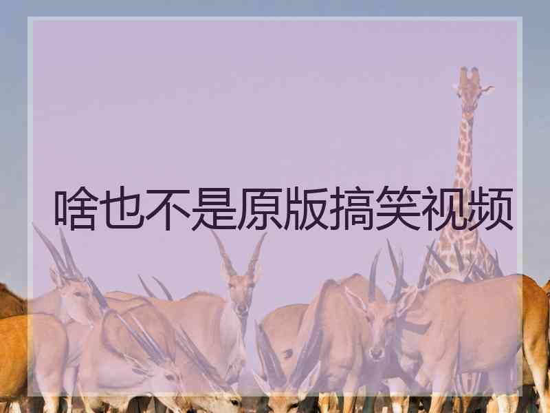 啥也不是原版搞笑视频