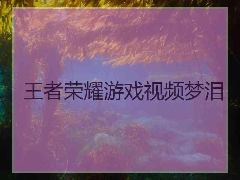 王者荣耀游戏视频梦泪